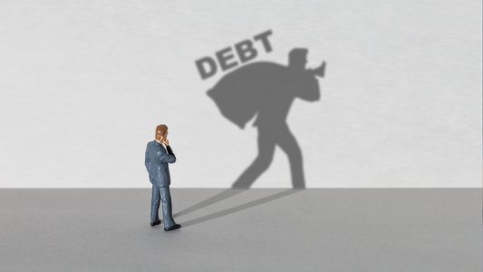 Gestione del debito