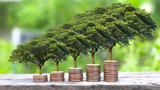 Finanza sostenibile e investimenti etici