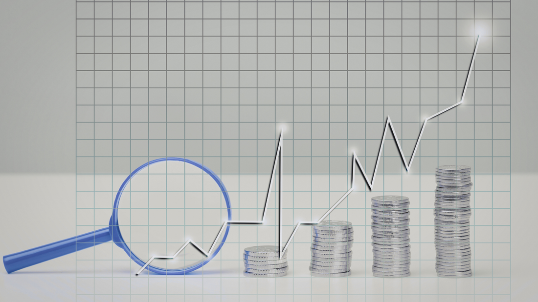 Minimalismo finanziario