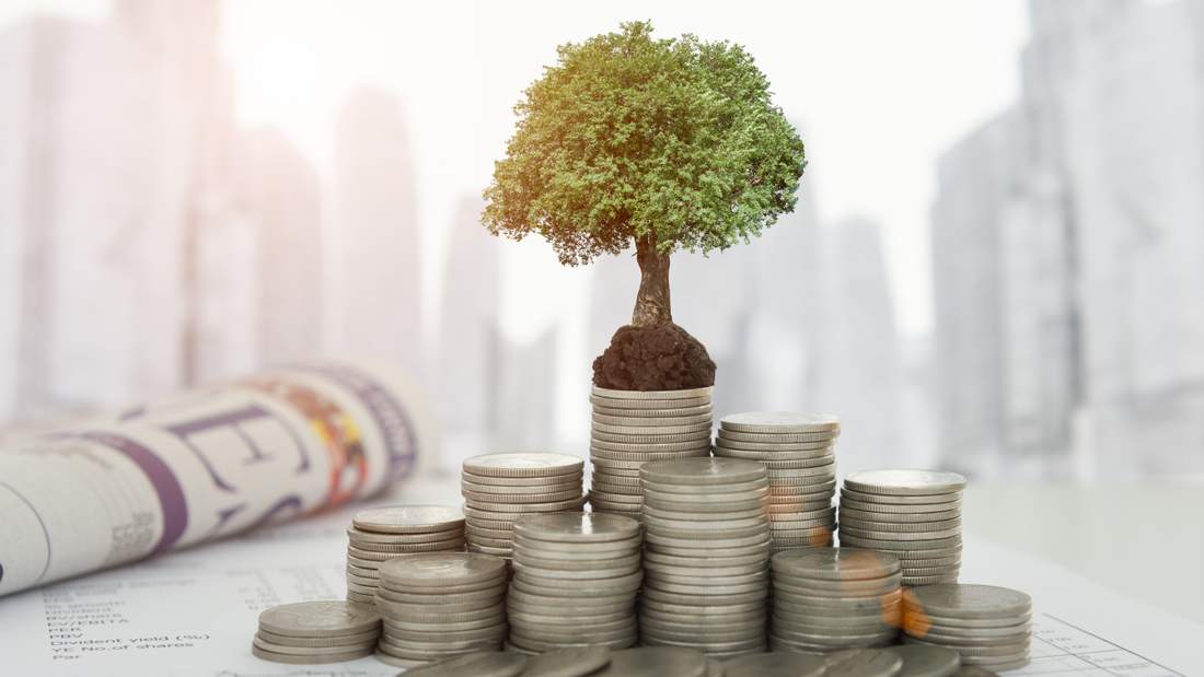 Reinvestire le cedole: perché può fare la differenza