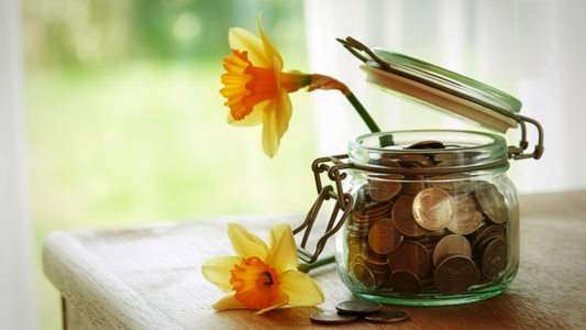 Come fare un reset finanziario in primavera: la guida per riorganizzare le tue finanze personali